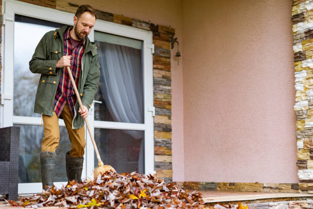 Best Dumpster Rental Services  in Walford, IA